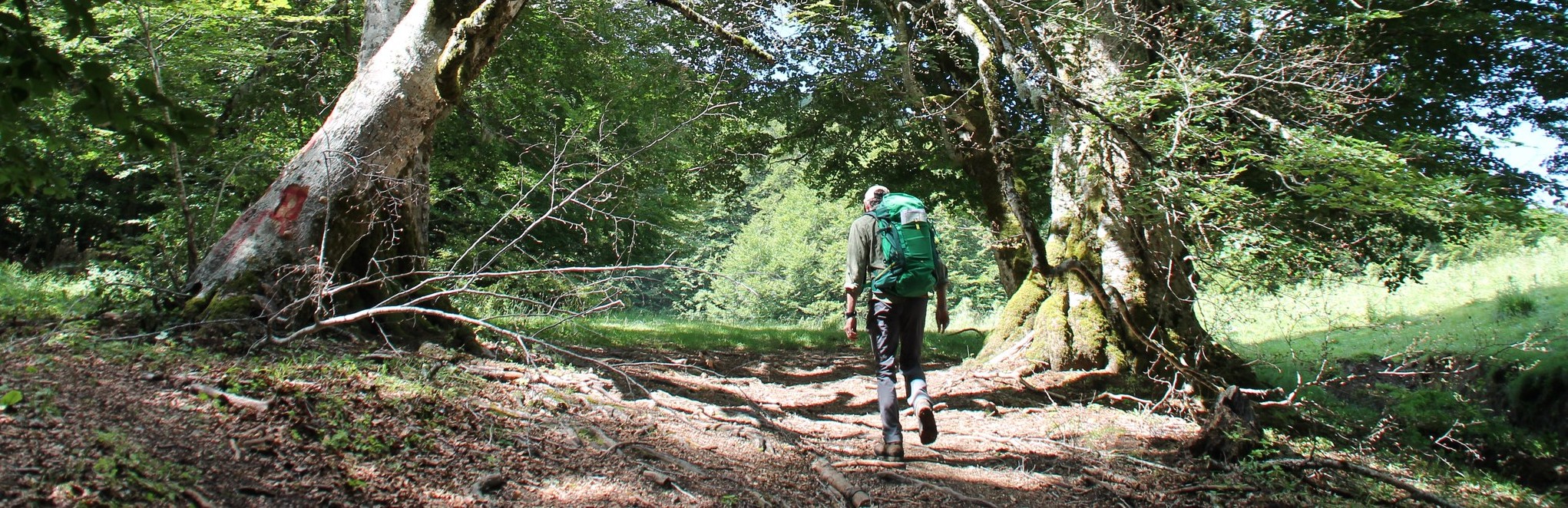 2° giorno – Pollino e natura